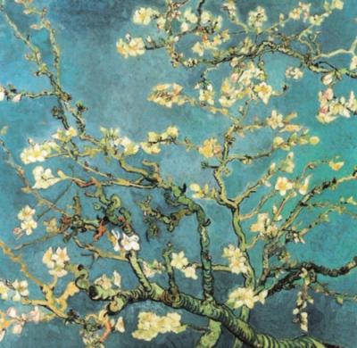 Rami di mandorlo in fiore, 1890 Poster - Vincent Van Gogh